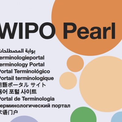 WIPO Again Commends CITS Terminology Project Results