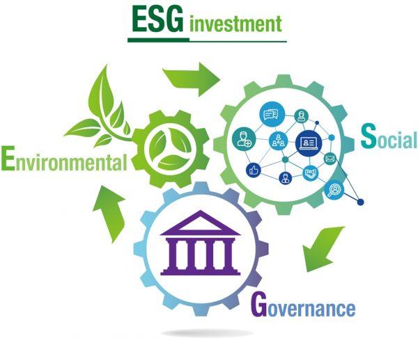 Принципы ESG – основа будущего: КВШП проводит первую в этом году mock conference