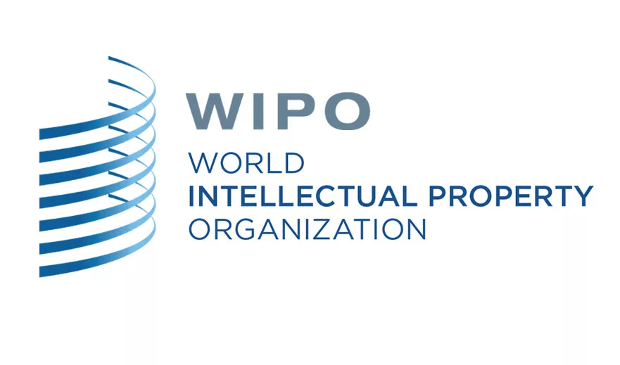 CITS and WIPO Complete Another Stage of Joint Project