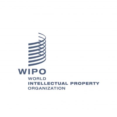 CITS and WIPO Complete Another Stage of Joint Project